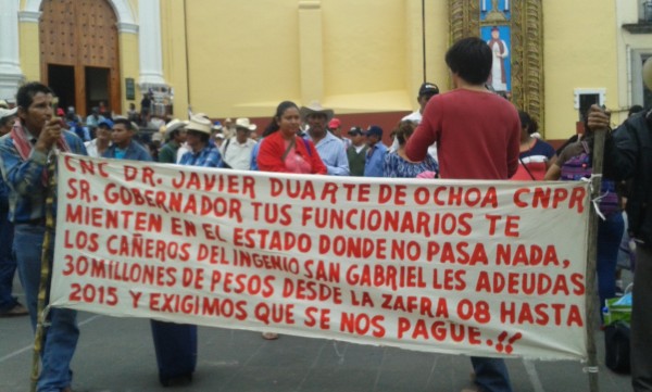 Cañeros de Cosamaloapan protestan en plaza Lerdo por adeudo de 100