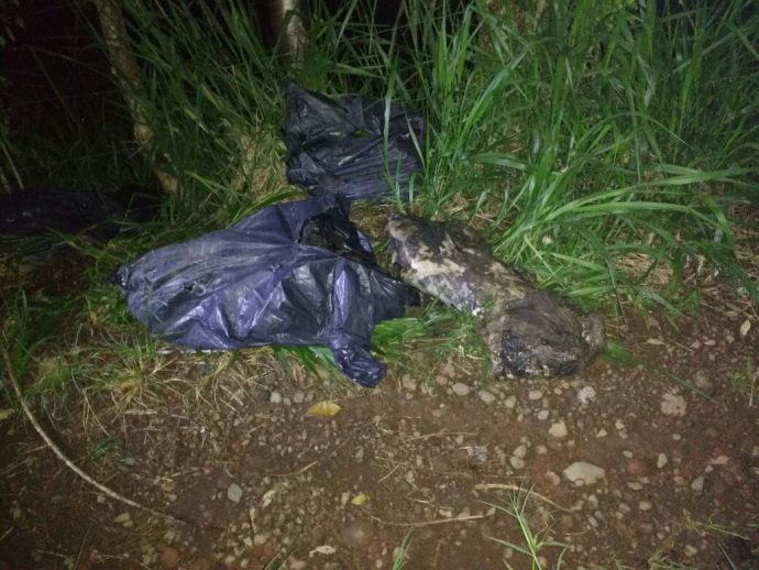 Hallan los cuerpos de dos mujeres y un hombre en bolsas en San Andrés Tuxtla IMG-20160924-WA0096-690x518