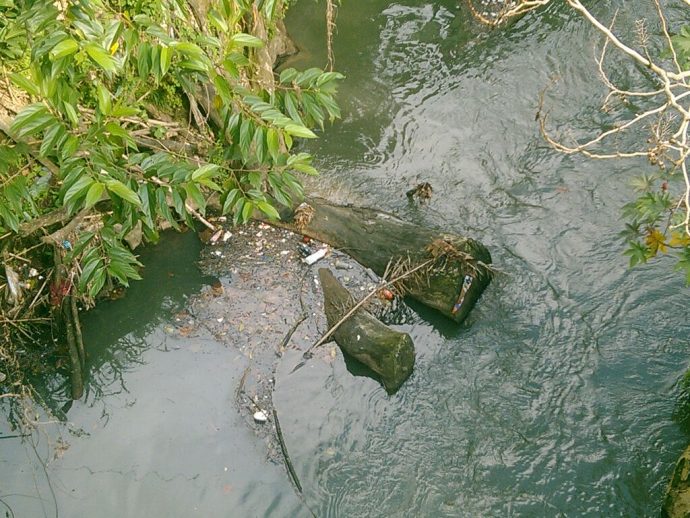 Inecol Denuncia A Queser A Le Blanc Por Invasi N De Rea Verde Y