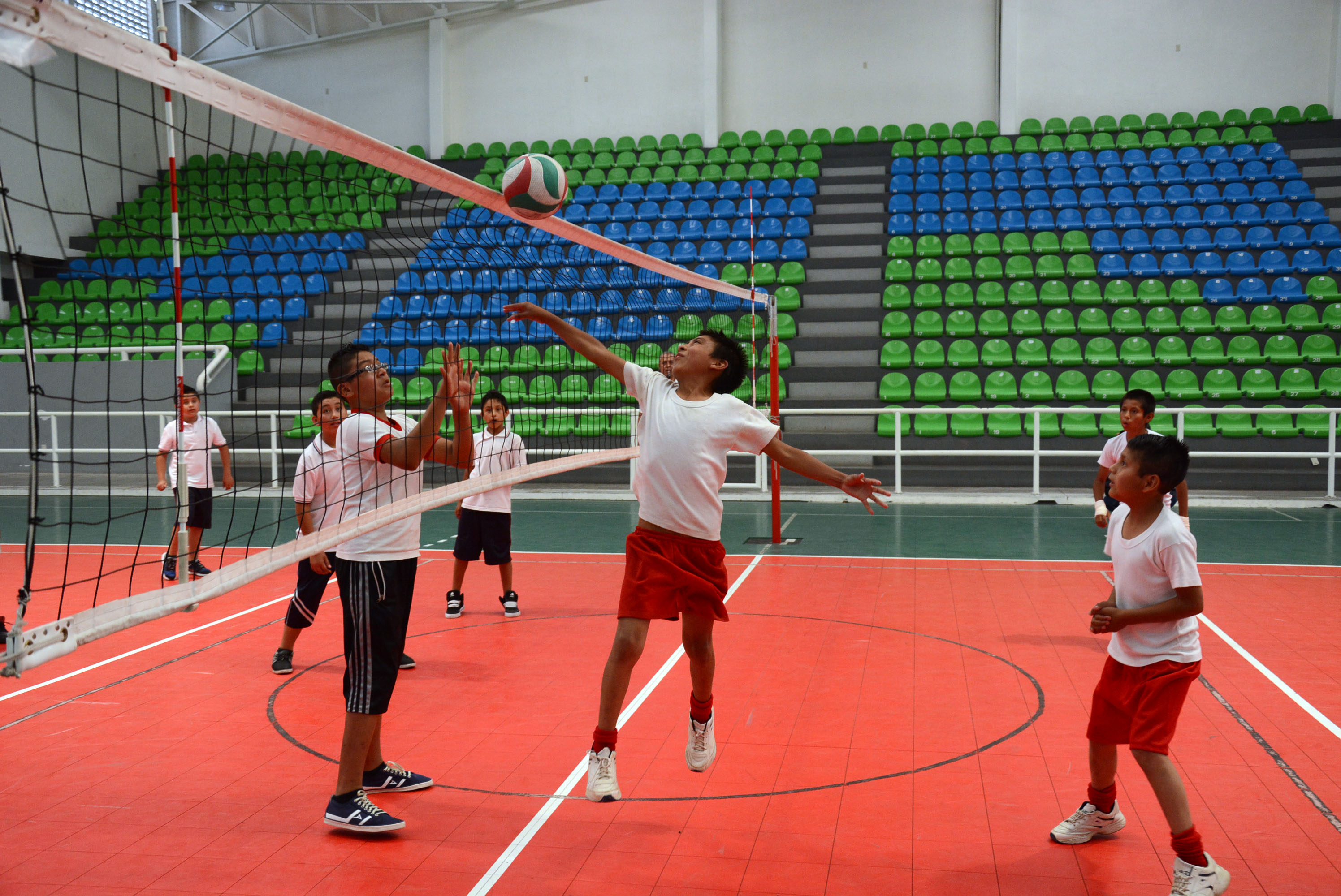 Córdoba sede del Festival Infantil de Voleibol 2017 - plumas libres