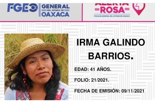 Exigen a gobierno de AMLO aparición con vida de defensora ambiental y