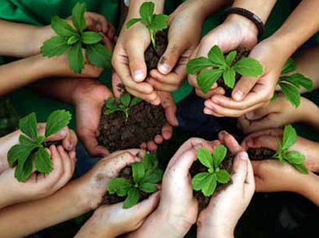 Cuidemos al Medio Ambiente
