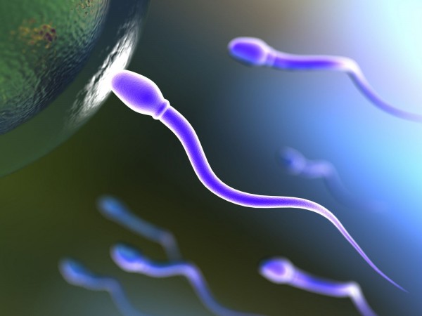 estres-contaminacion-ambiental-debilita-calidad-semen-1