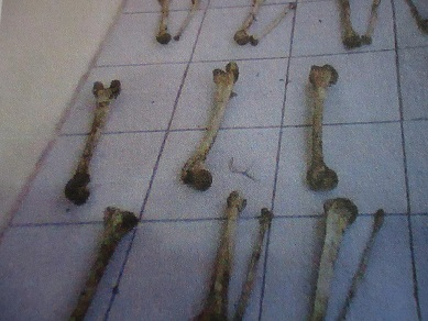 Restos humanos encontrados en fosa clandestina de Nautla, norte de Veracruz