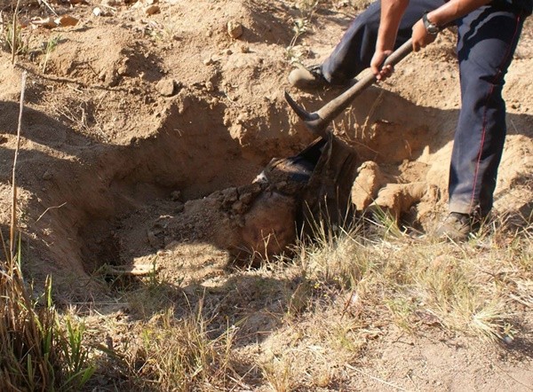 Extraoficialmente se informó que fueron encontrados 18 cuerpos en 15 fosas. El reportero ciubrió el hallazgo/Plumas Libres