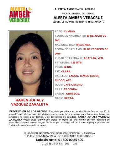 Cédula Alerta Amber 06 2015