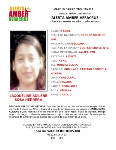 Cédula Alerta Amber 11 2015