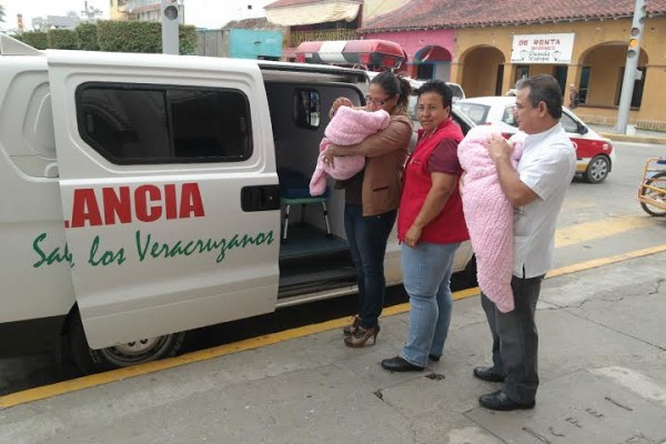 Nacieron y las vendieron en 5 mil pesos cada una/ Foto Pablo Solano