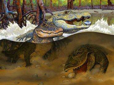 Los tatarabuelos de los cocodrilos