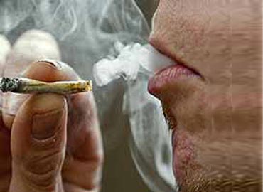 Los adictos al consumo de la marihuana sufrirán psicosis y lagunas mentales en un tiempo no muy lejano