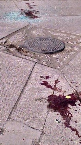 Restos de sangre tras enfrentamiento/ Foto Plumas Libres