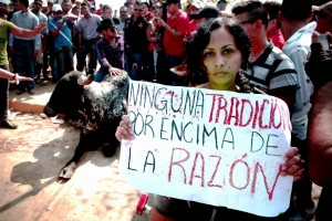 En Tlacotalpan siguió el maltrato cruel a los toros