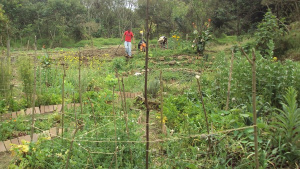 El huerto trabajaron mas de 500 personas y ahora las autoridades de la Normal se acuerdan del terreno/Plumas Libres