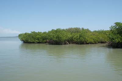 Humedal en Tuxpan