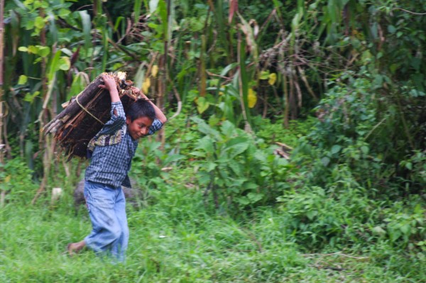Trabajos forzados/Fotover
