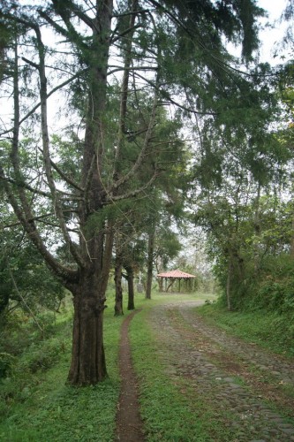 La belleza del Cerro de las Culebras/Foto: Francisco de Luna