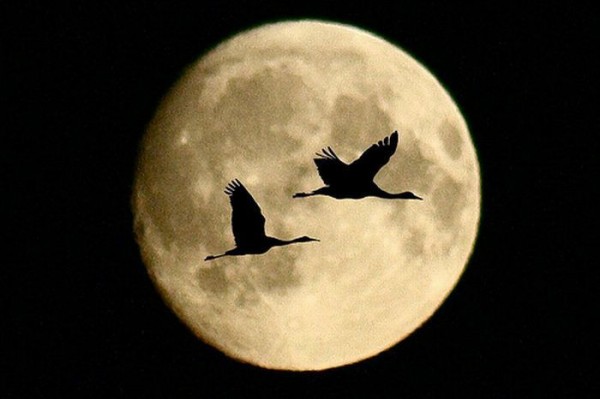 Este viernes la energía de la luna estará al máximo