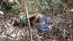 Continúan apareciendo ejecutados en región Tierra Blanca