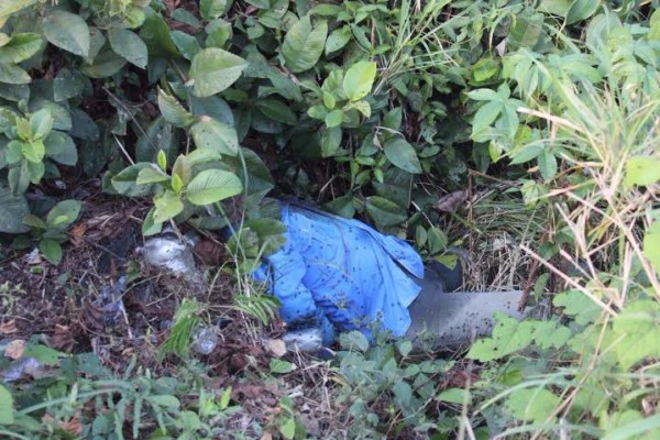Habían desaparecido a inicios de este mes y aparecen asesinados/ Foto Plumas Libres