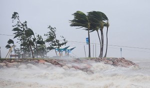 El clima en el mundo se ha alterado a consecuencia de la fuerte contaminación y tala de árboles