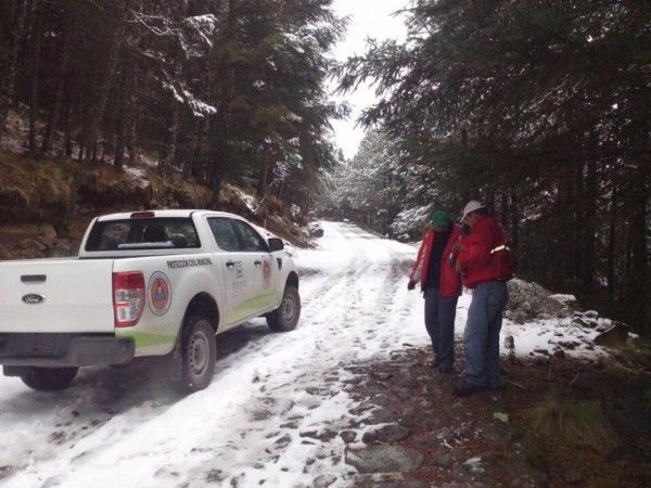 La nieve alcanza un espesos de hasta 10 centímetros/Plumas Libres