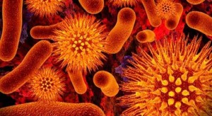 virus-del-sida-periodiconmx.com_
