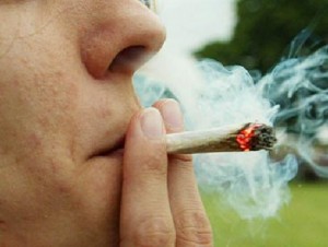 El consumo de marihuana deteriora la capacidad de memoria