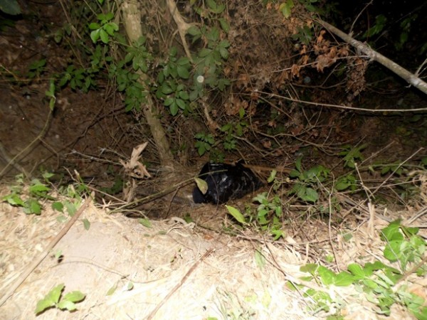 Uno de los cuerpos encontrados corresponde a una mujer