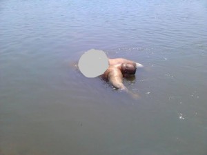 Los 3 cuerpos tenían el tiro de gracia/ Foto Plumas Libres