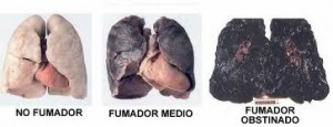 Investigadores de la Universidad de Chalalongkorn invitan a fumadores a donar sus pulmones
