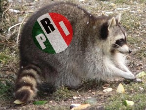 Los expertos mapaches ya preparan robos en varios distritos electorales
