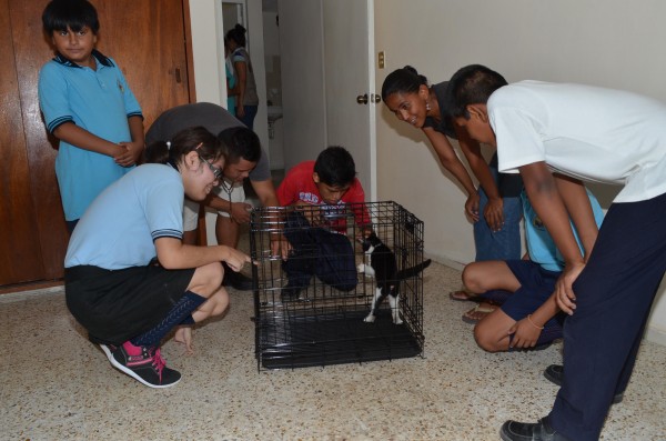 FOTO INAUGURACION CENTRO DE SALUD ANIMAL MUNICIPAL 02