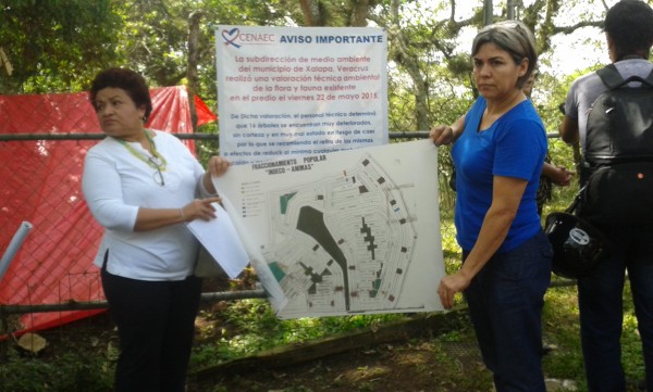 Vecinos muestras el plano del terreno que piden sea declarada área natural protegida/Plumas Libres