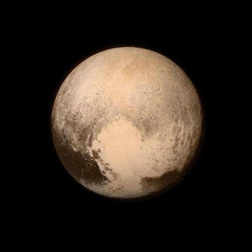 11745478_858510054202659_6244166973662008127_n