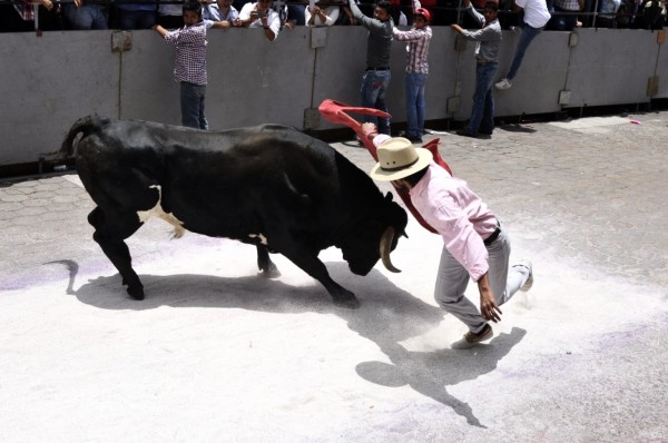 Foto: Miguel Ángel Carmona/Fotover