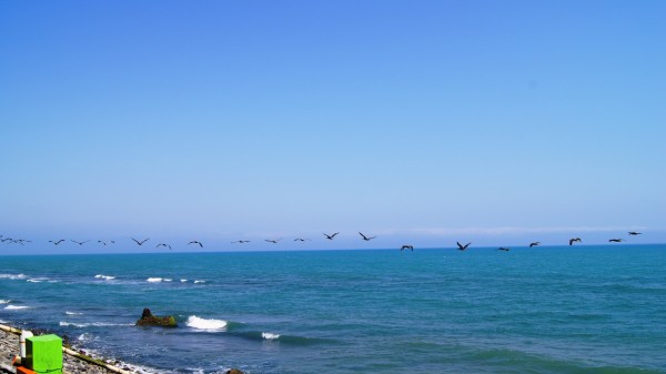 SONY DSC