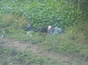 Sigue la violencia en sur de Veracruz