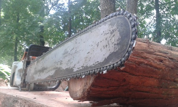 Plumas Libres