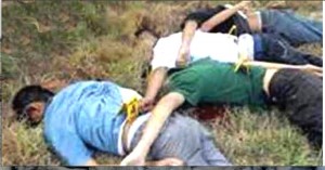 En la región de Cardel, Actopan, Puente Nacional, Paso de Ovejas, Úrsulo Galván siguen apareciendo cuerpos de ejecutados