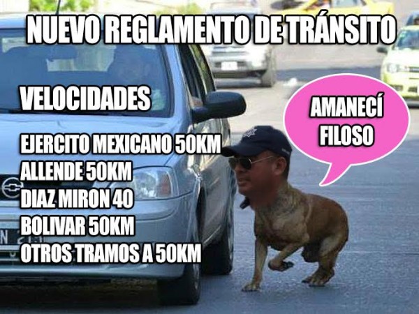 El gobierno estatal soltó a los tránsitos a morder y aplicar multas en Veracruz exageradas y de burla