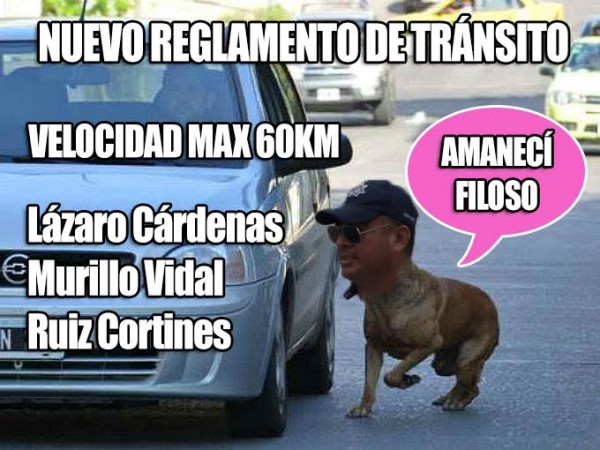 En Xalapa los tránsitos también están como perros sueltos mordiendo al que se deje, dicen los Memes