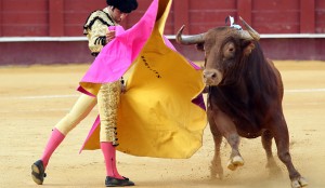 En Coahulia se prohibe la masacre de toros en público