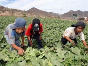 Foto: el imformador.com