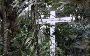 Otra chica aparece asesinada, ahora en Tierra Blanca