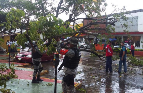 En Xalapa se registró caída de árboles/Fotover