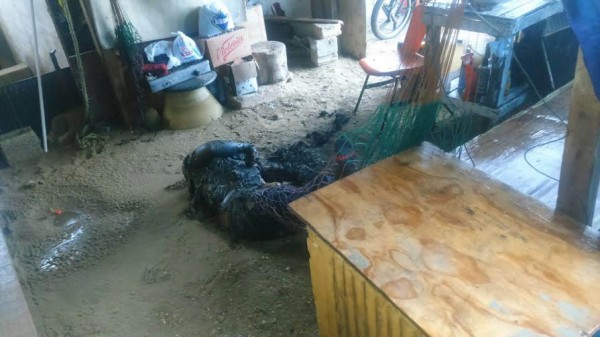 Los delincuentes lo balean, luego le prenden fuego/ Foto Plumas Libres