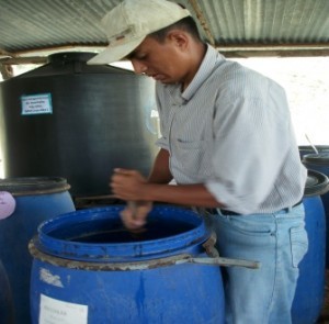 En México hay talento, los estudiantes sólo necesitan ser apoyados.