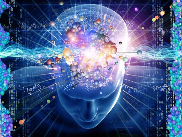 cerebro