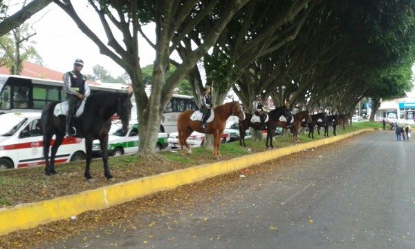 Plumas Libres