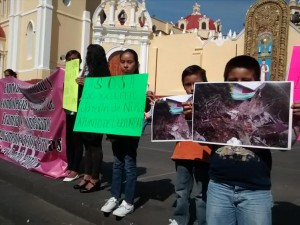 Al menos 60 niños están en peligro y la SEV no ha acudido al llamado desesperado de los padres